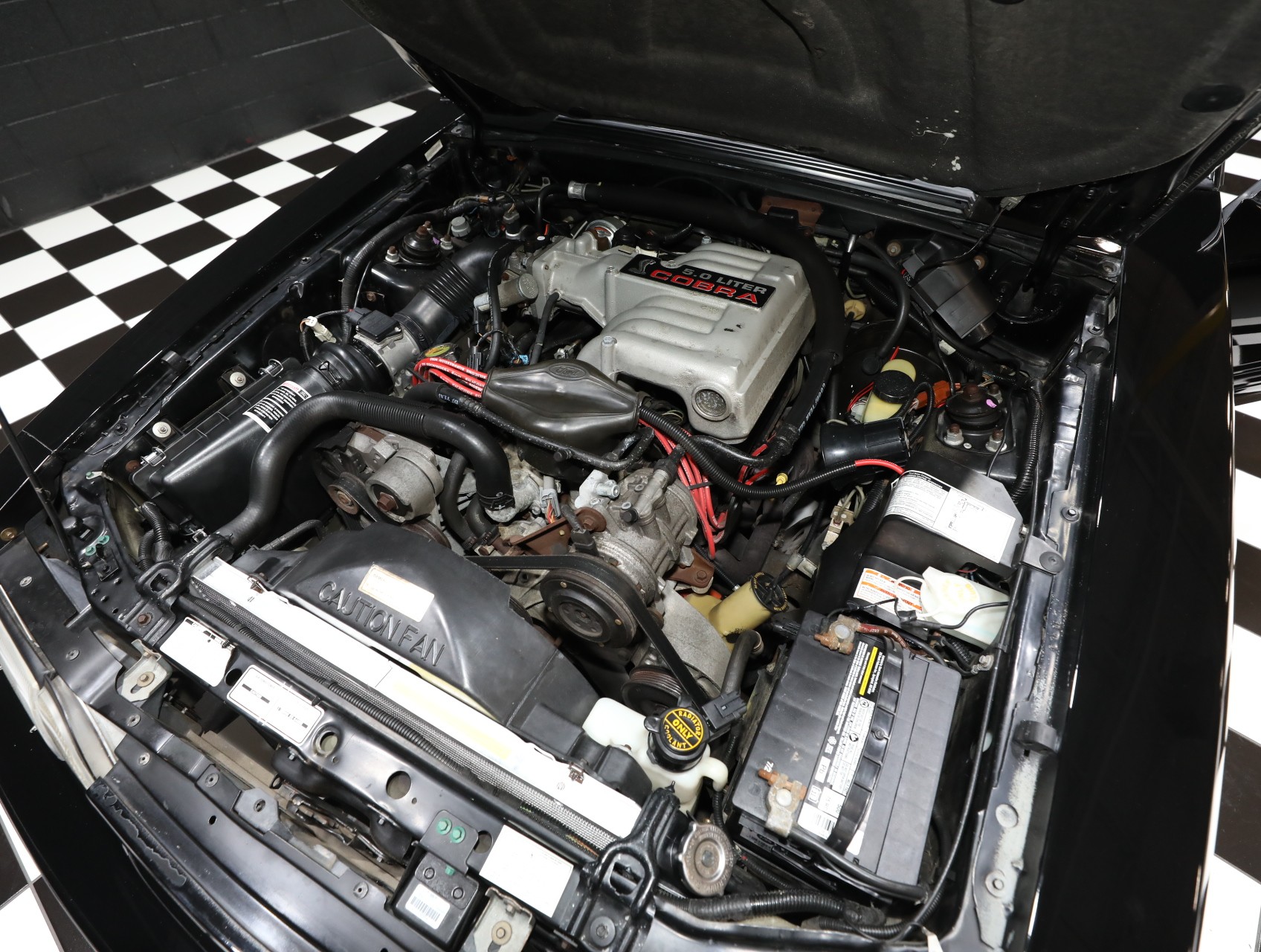 1993 Ford Mustang SVT Cobra 2