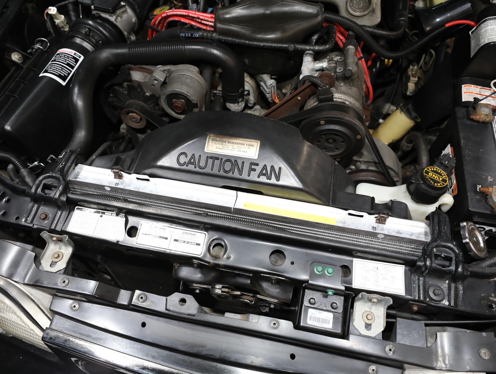 1993 Ford Mustang SVT Cobra 66