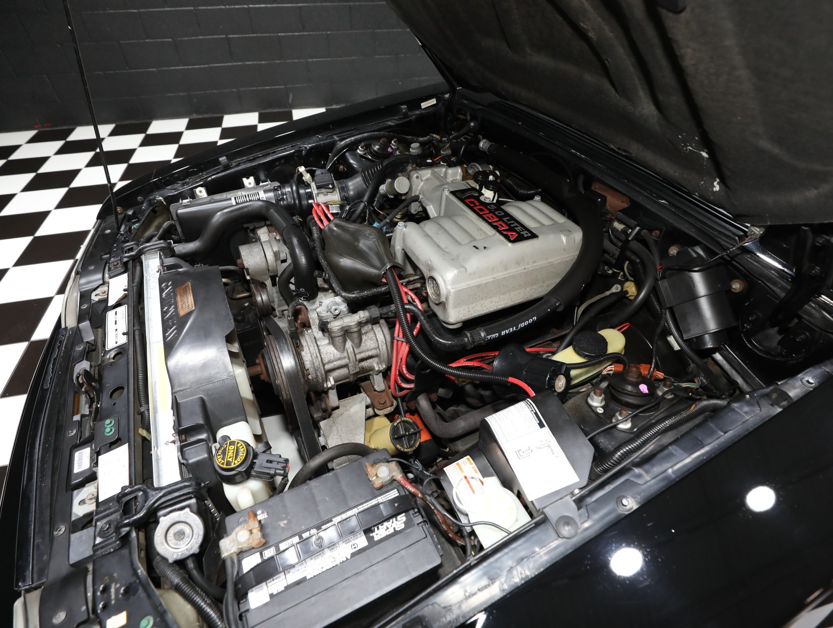 1993 Ford Mustang SVT Cobra 68