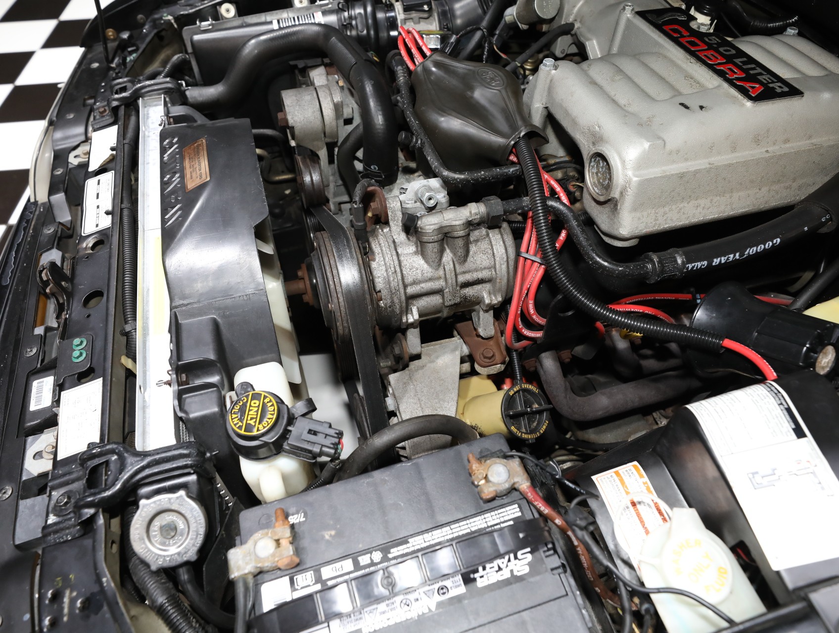 1993 Ford Mustang SVT Cobra 69