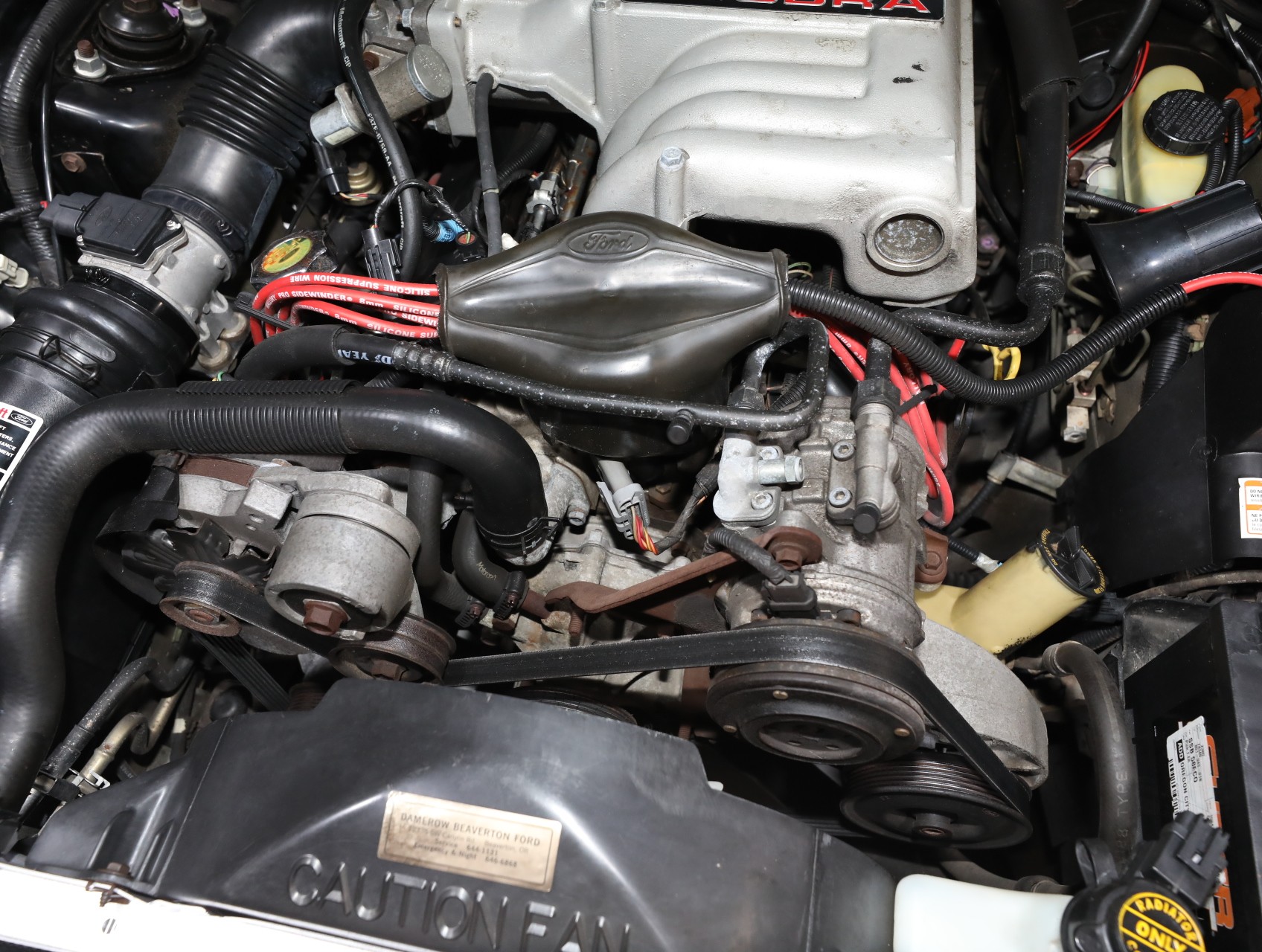 1993 Ford Mustang SVT Cobra 71