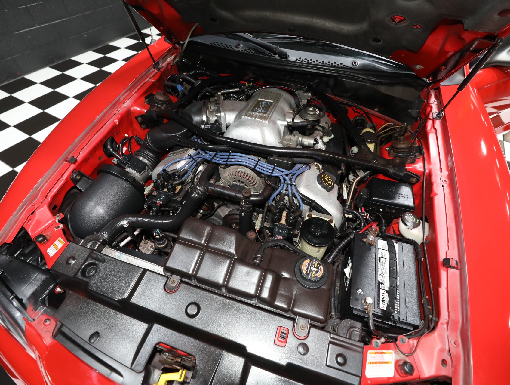1997 Ford Mustang SVT Cobra 2