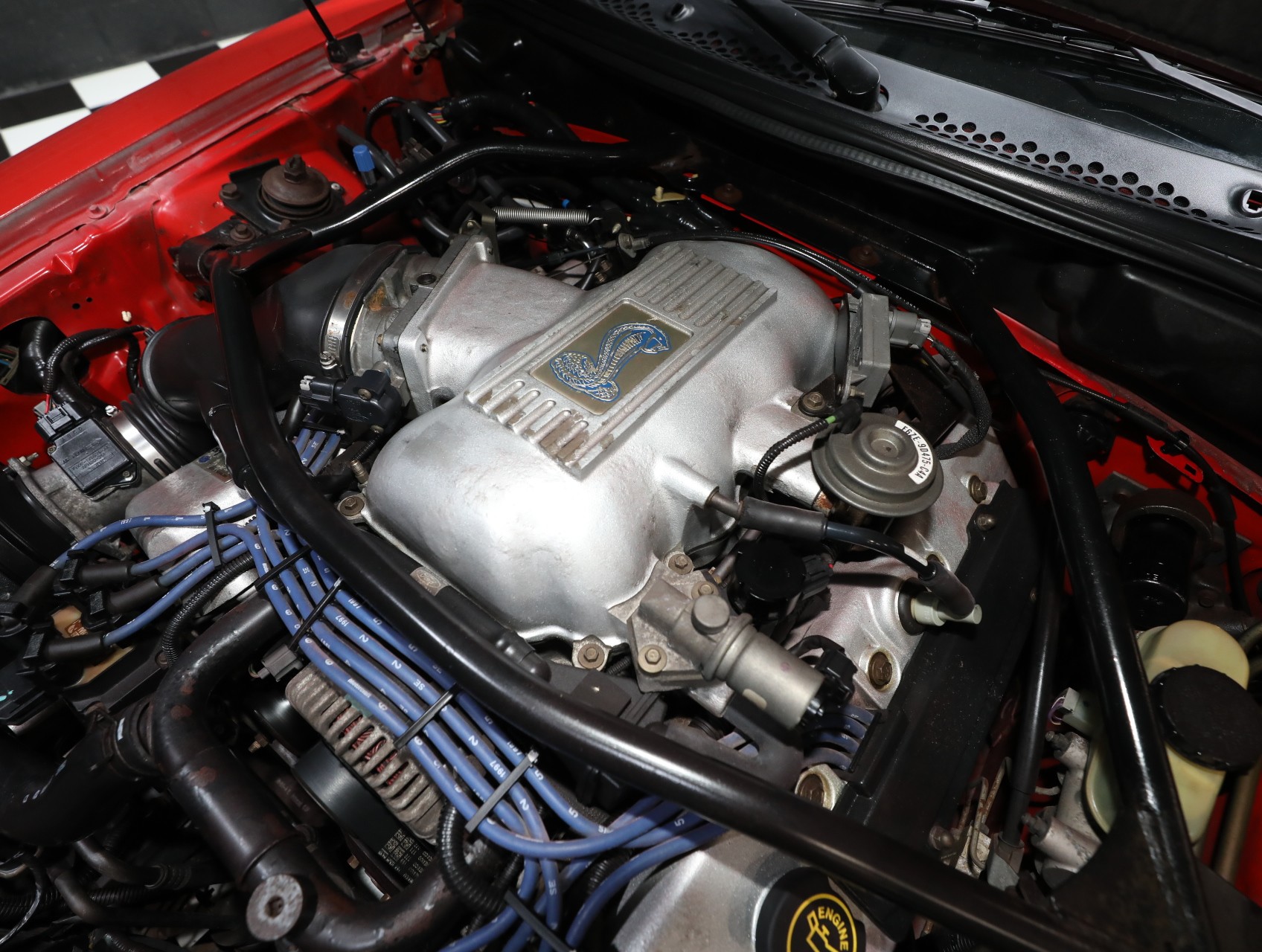 1997 Ford Mustang SVT Cobra 71