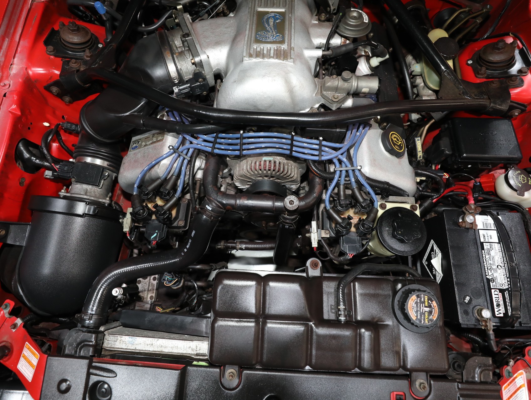 1997 Ford Mustang SVT Cobra 72