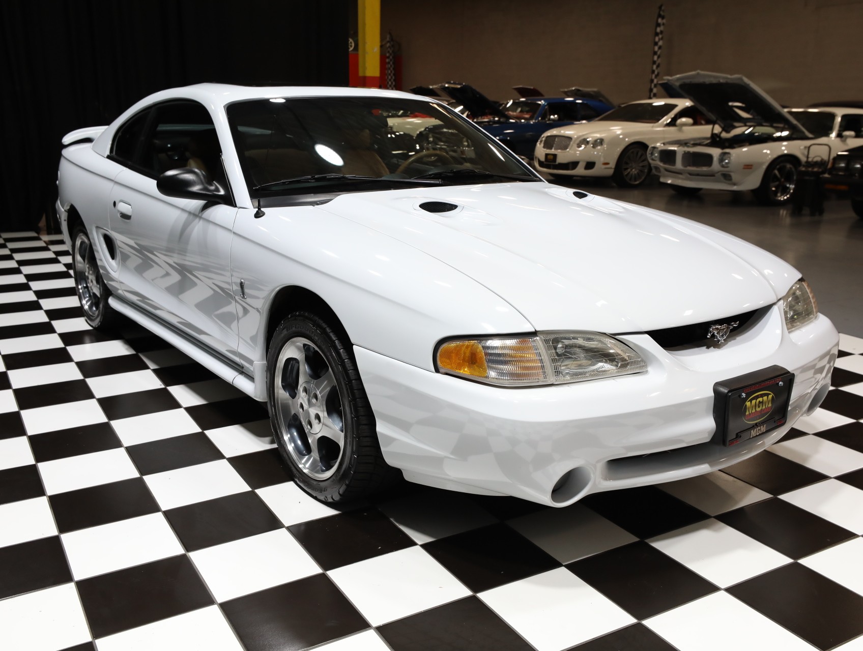 1996 Ford Mustang SVT Cobra 14