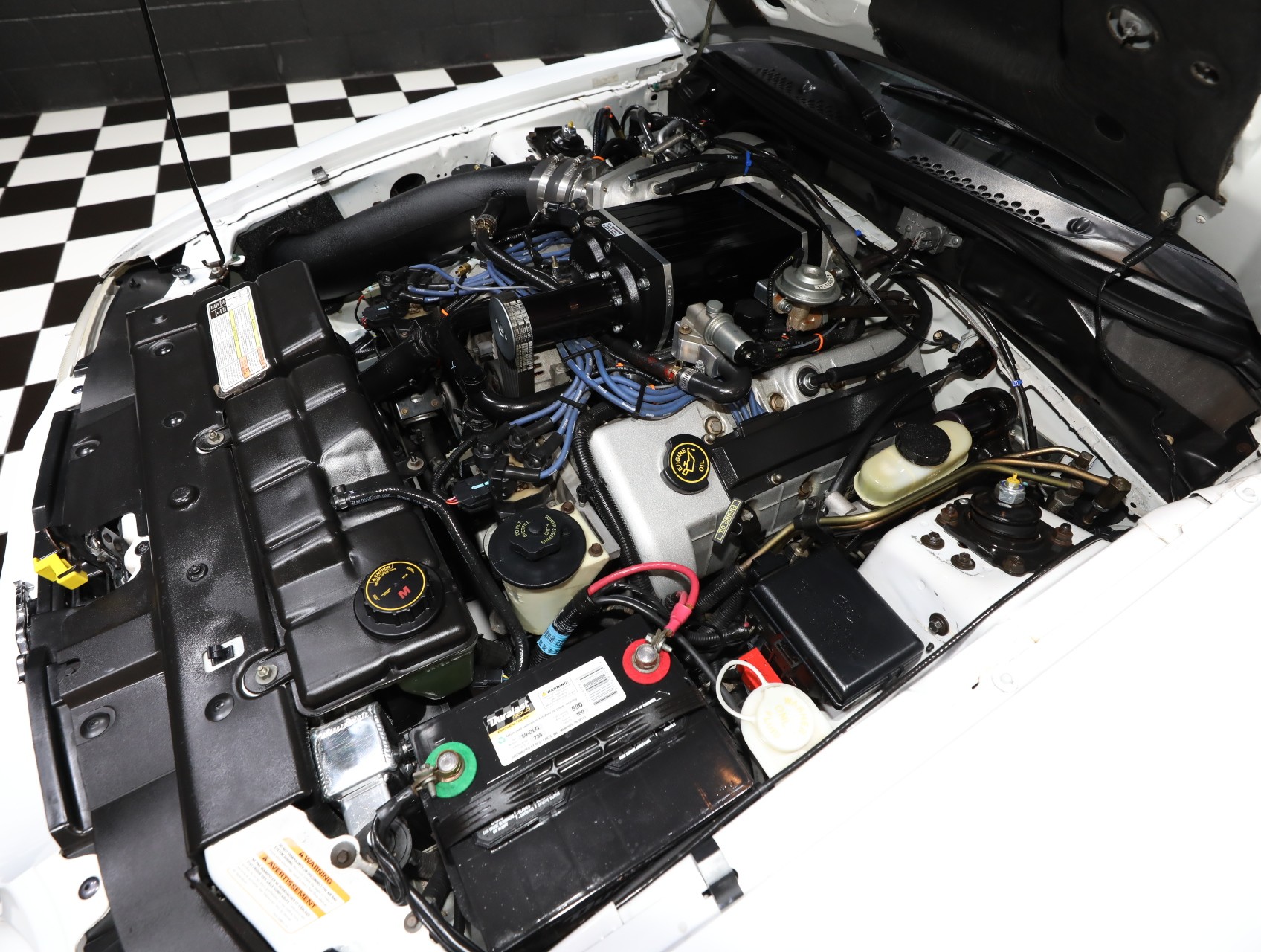 1996 Ford Mustang SVT Cobra 66