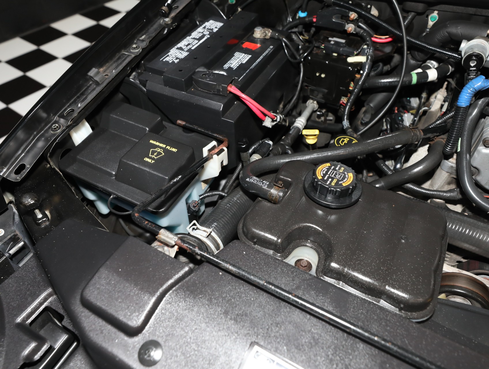 2000 Ford F-150 SVT Lightning 79