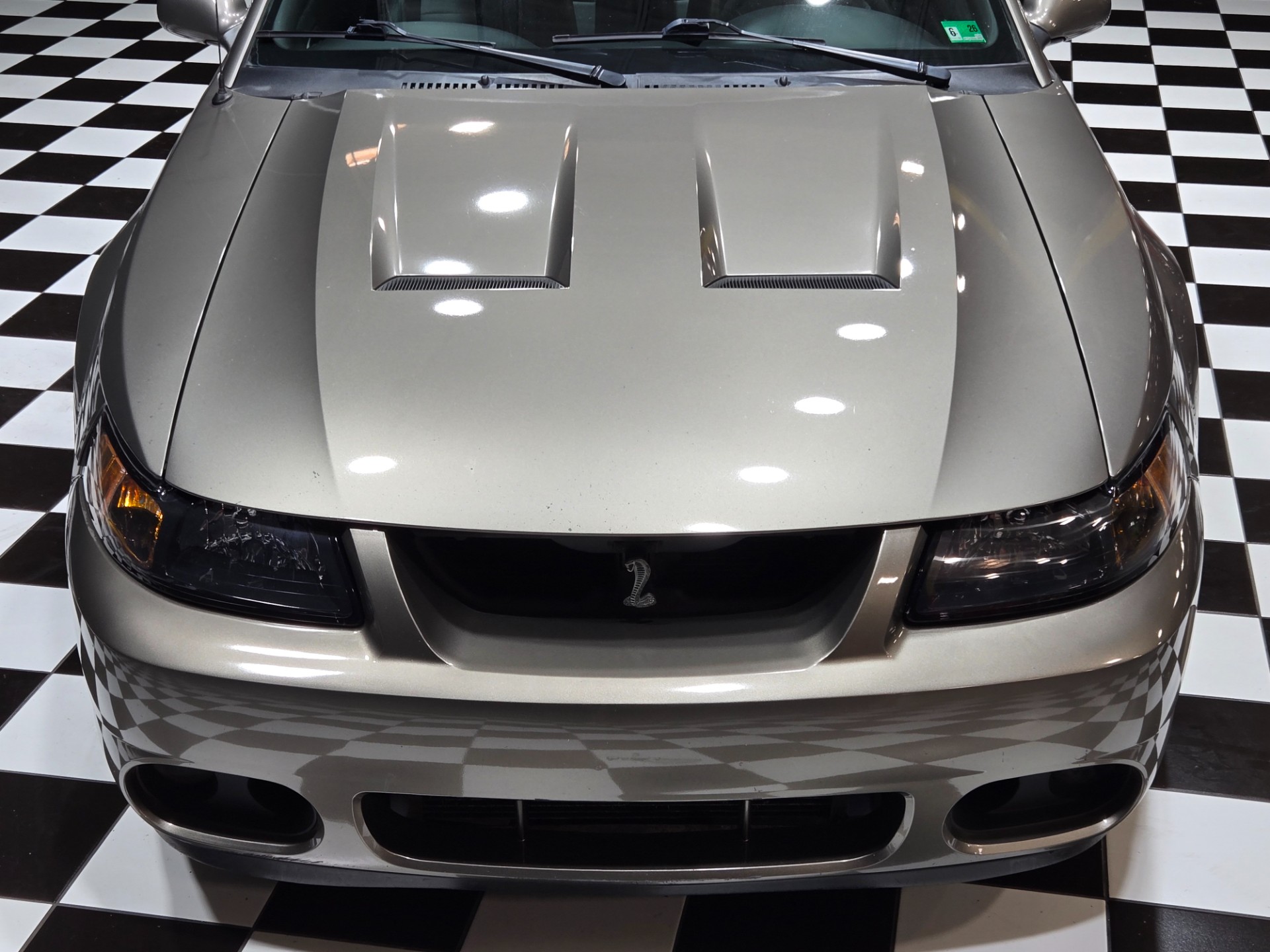 2003 Ford Mustang SVT Cobra 11