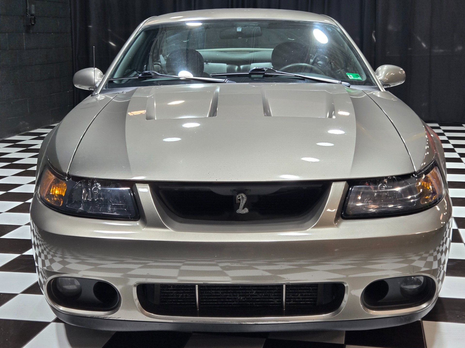 2003 Ford Mustang SVT Cobra 56