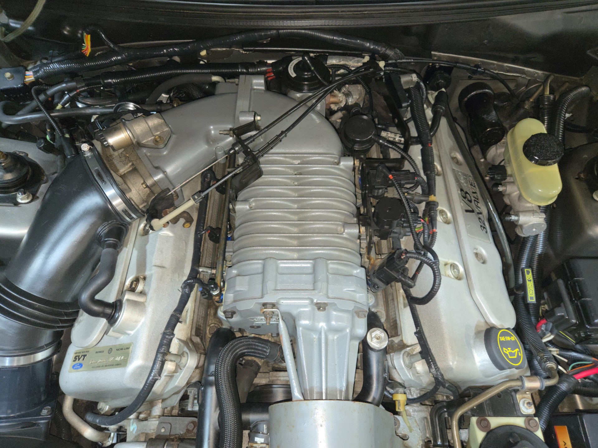 2003 Ford Mustang SVT Cobra 66