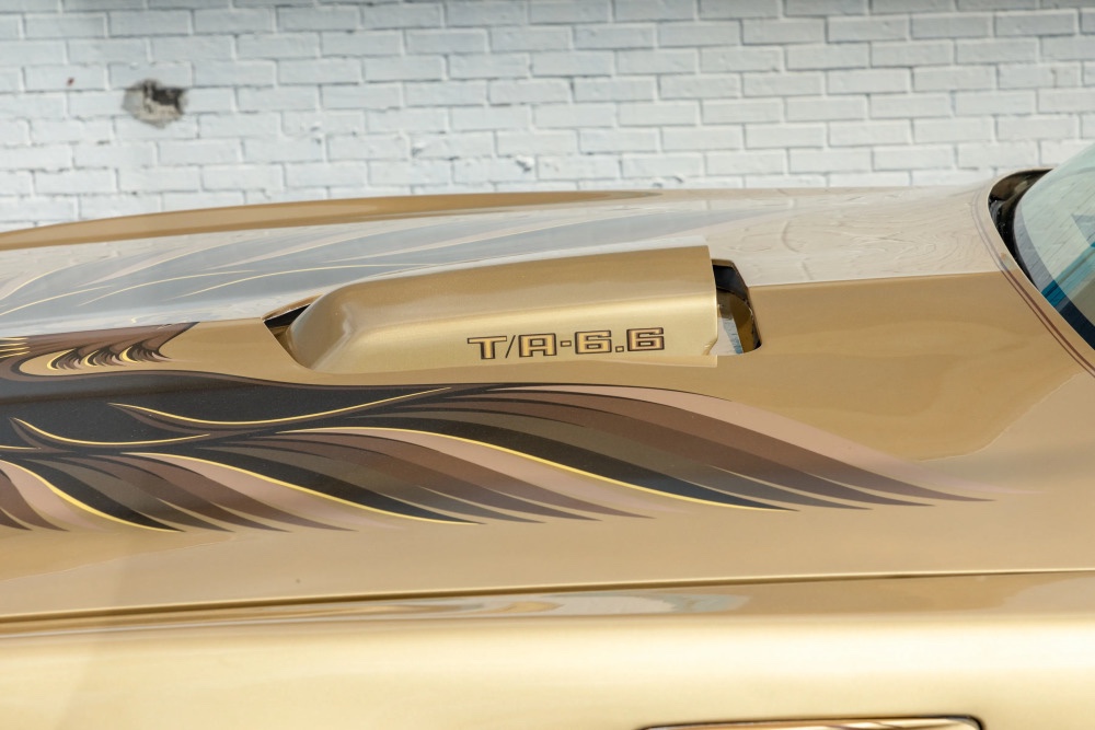 1978 Pontiac Trans Am 13