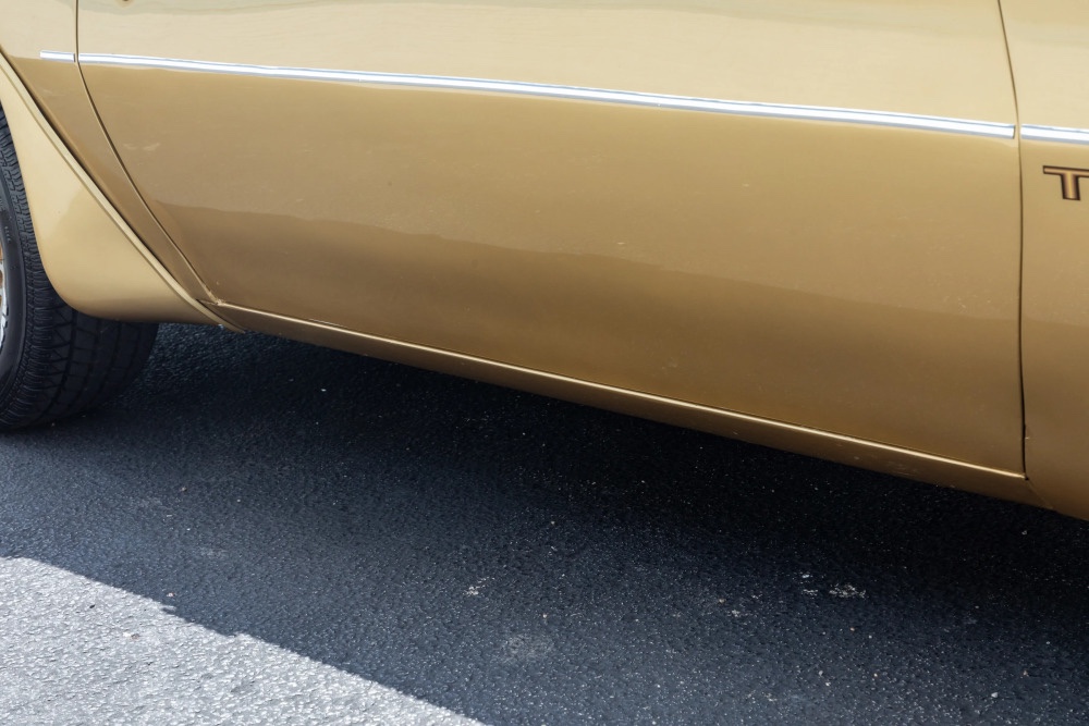 1978 Pontiac Trans Am 14