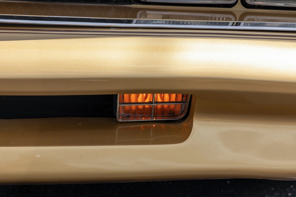 1978 Pontiac Trans Am 19