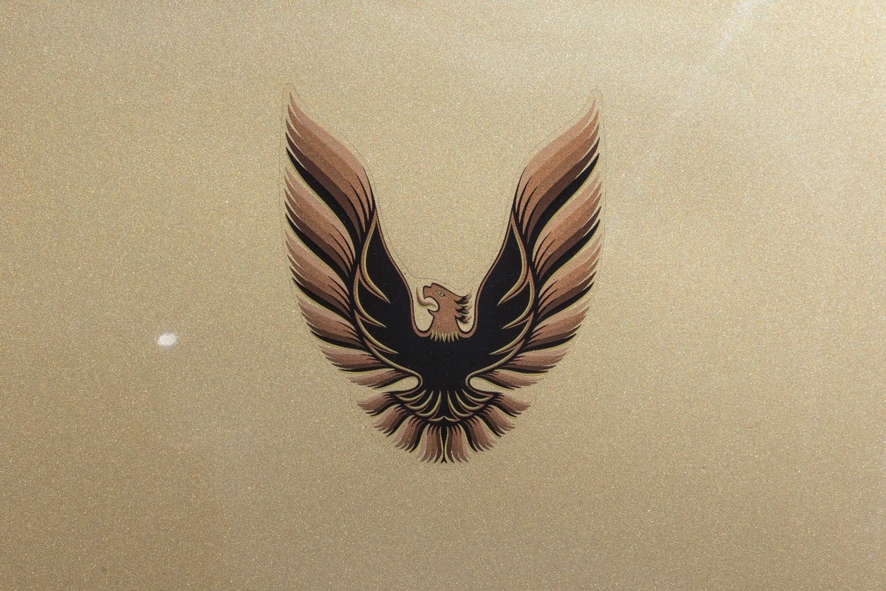1978 Pontiac Trans Am 21