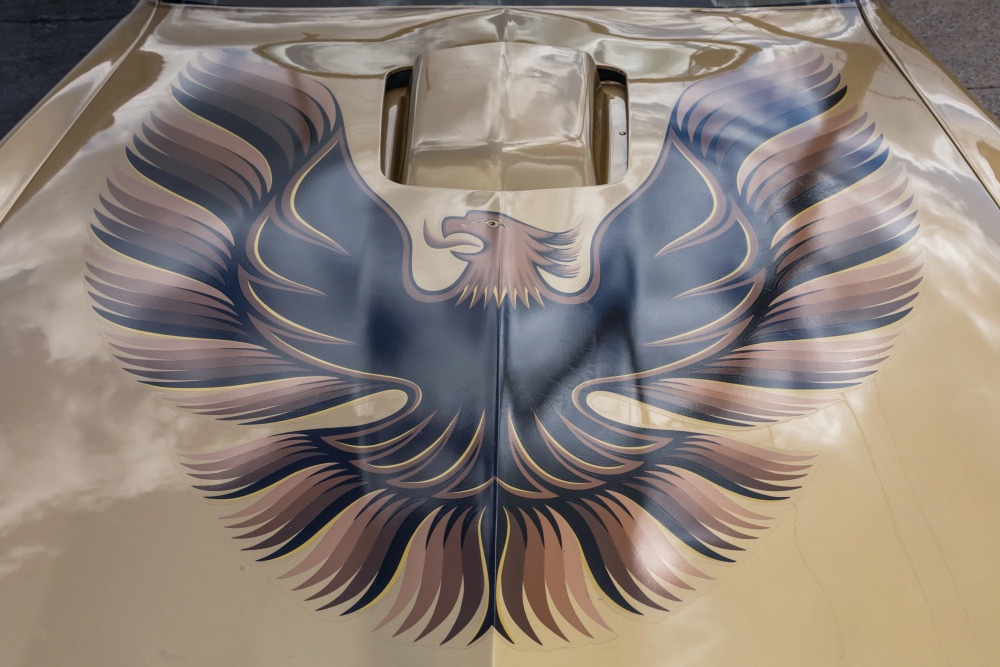 1978 Pontiac Trans Am 22