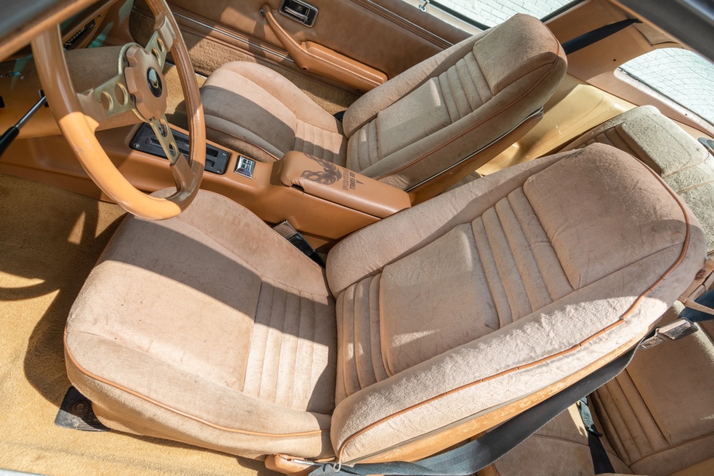1978 Pontiac Trans Am 24
