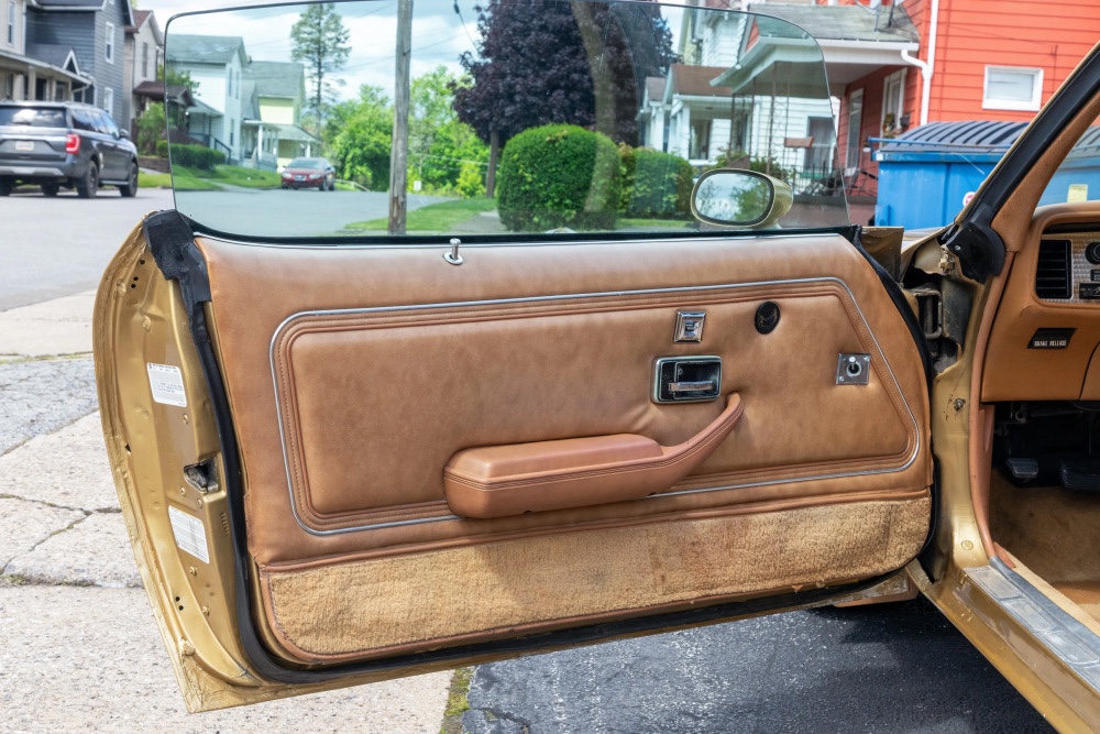 1978 Pontiac Trans Am 27