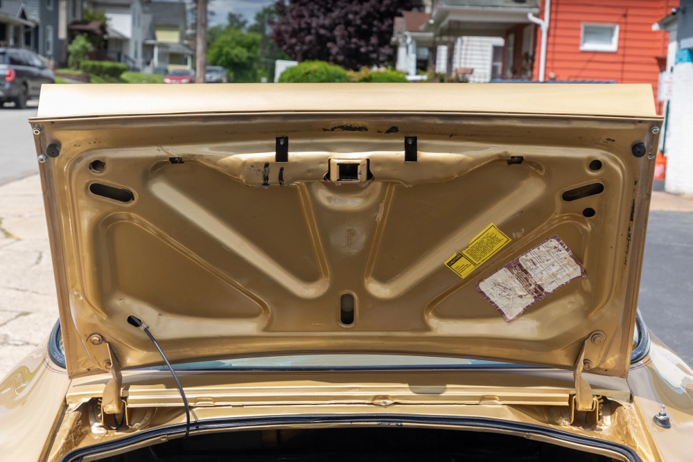 1978 Pontiac Trans Am 33