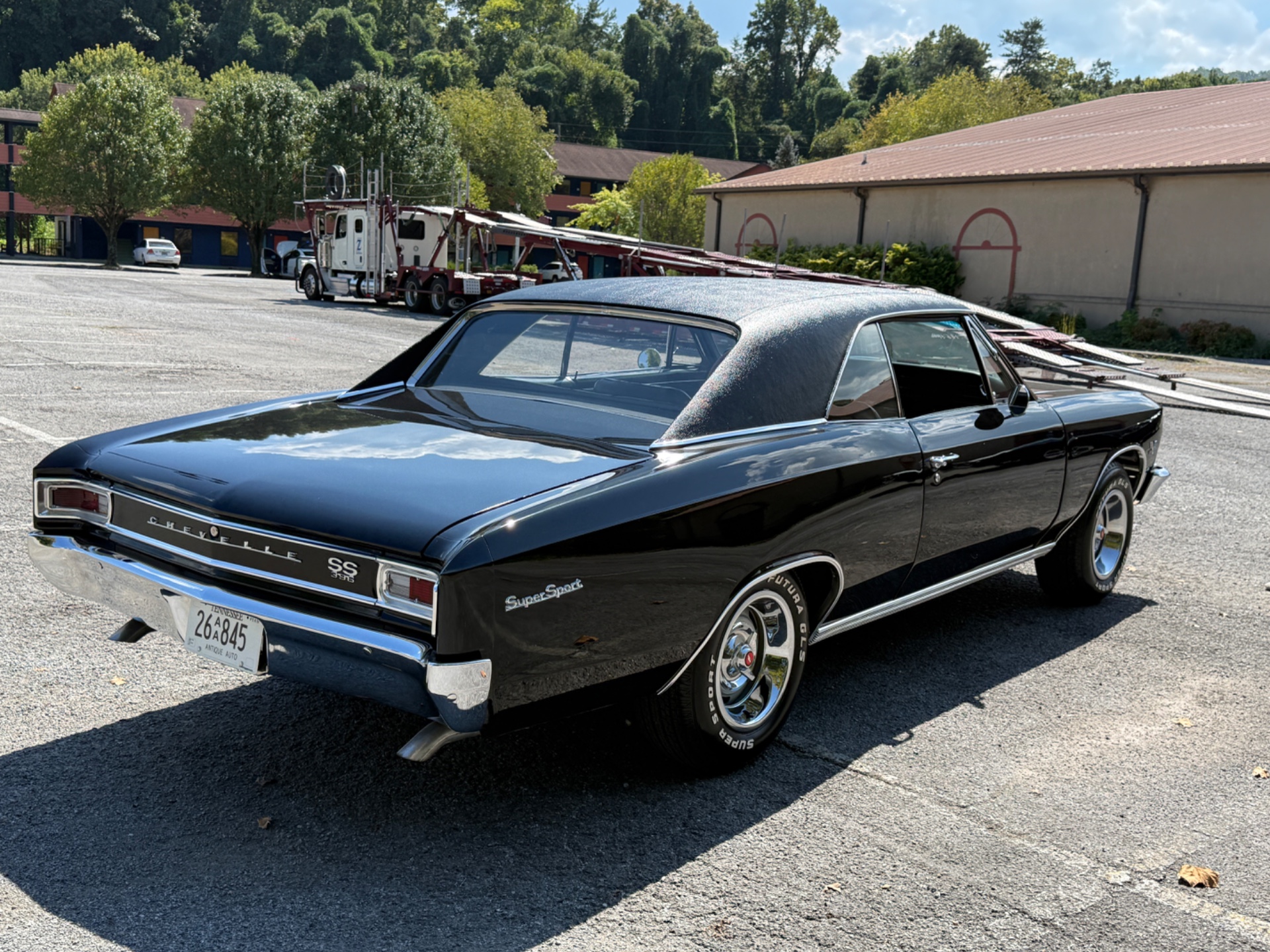 1966 Chevrolet Chevelle 7