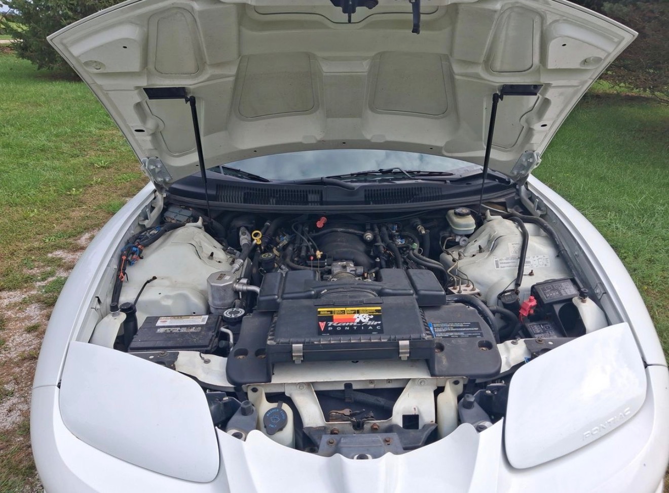 2001 Pontiac Firebird 9